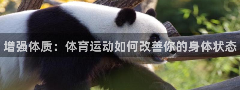 上海悟空体育