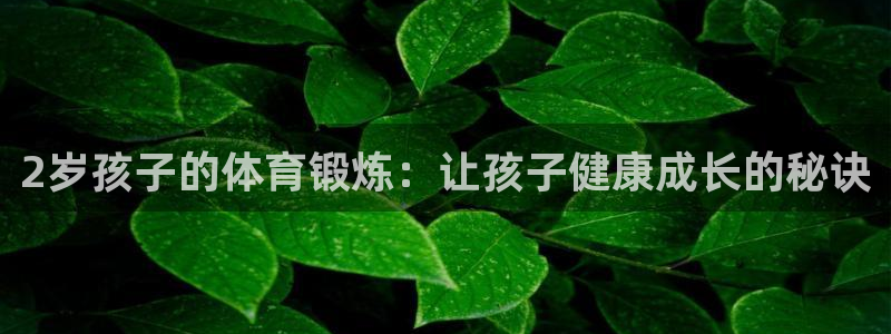 悟空体育