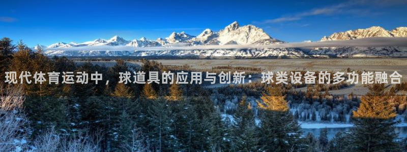 悟空体育网站官网入口手机版