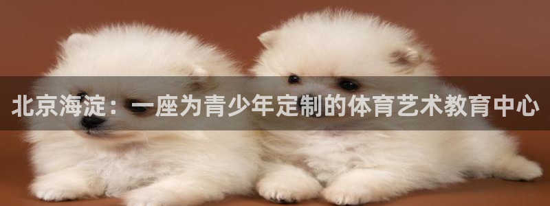 悟空体育